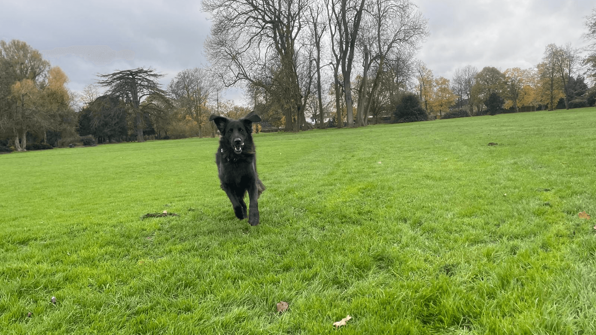 Structured Environment for Optimal Learning