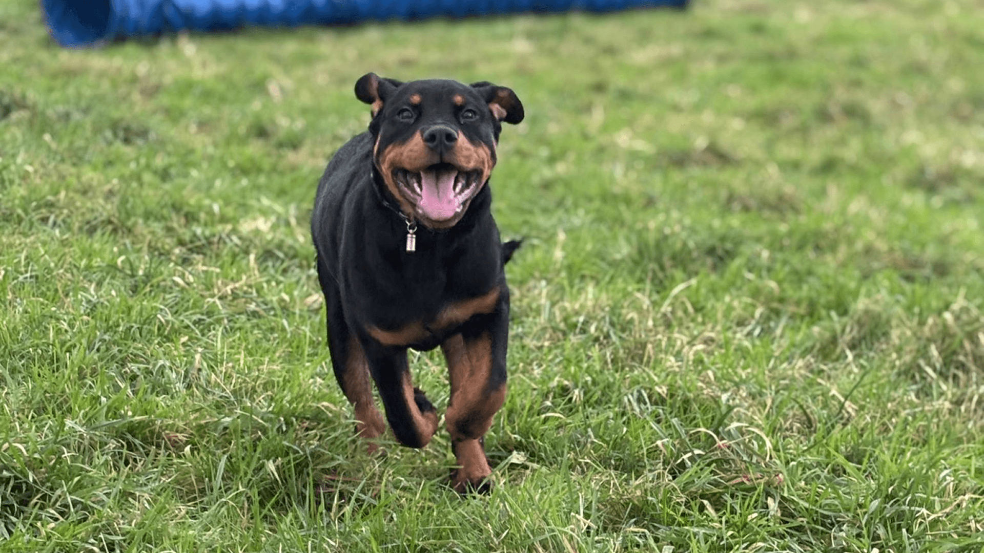 Compassionate and Effective Training