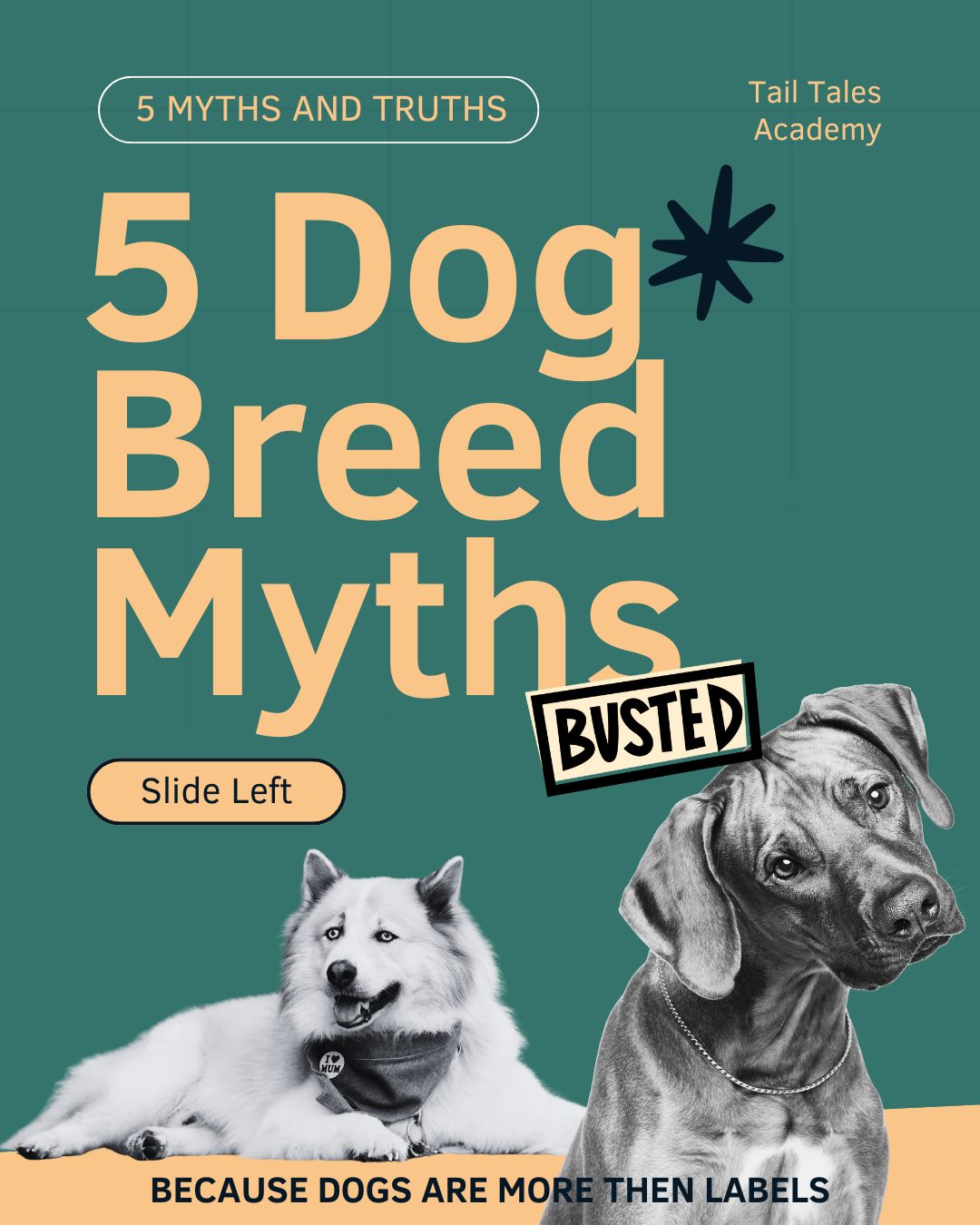 5 dog breed myths