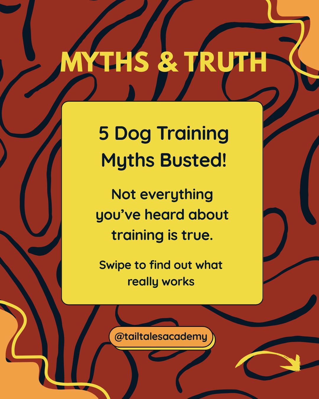 5 dog training myths busted!