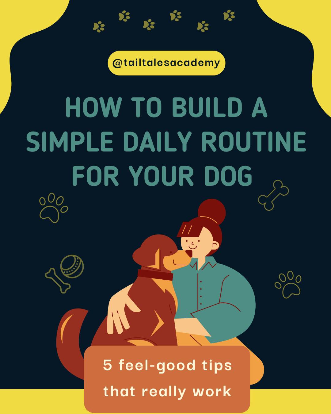 How to build a simple daily routine for your dog