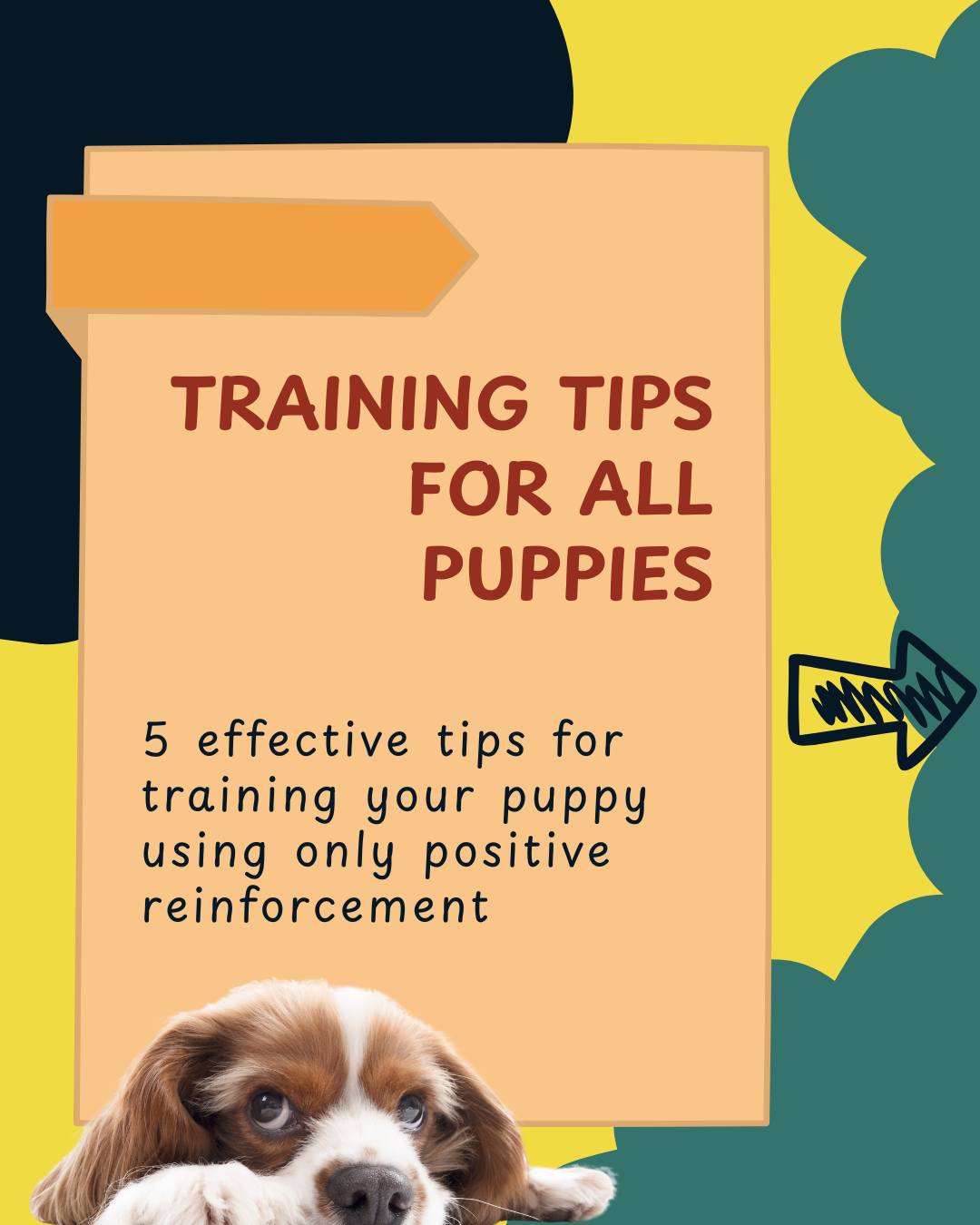 Training tips for all puppies